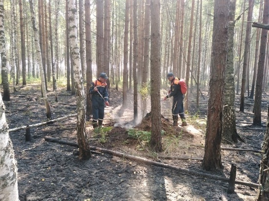 Борьба со стихией: что известно о пожаре на границе Марий Эл и Нижегородской области