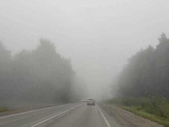 Дожди и туманы возможны 22 августа в Томской области