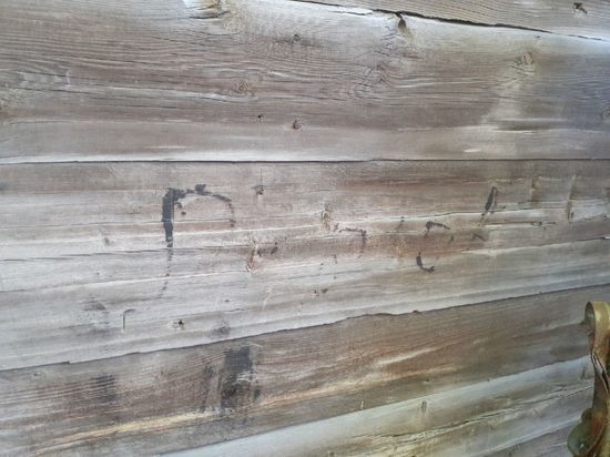 Краеведы нашли автограф «Родион» в омских палатах арестантов, где лежал Достоевский