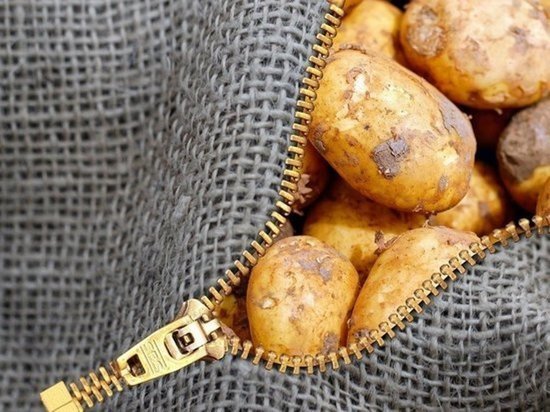 Глава Минздрава Карелии: "Молодой картофель повышает стрессоустойчивость"
