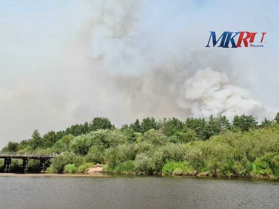 МЧС: Огонь у рязанского посёлка Деулино сбили