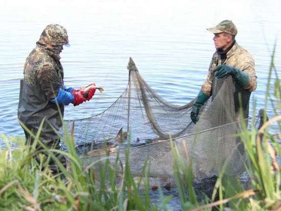 В Советском районе утонул рыбак, запутавшийся с расставленных сетях