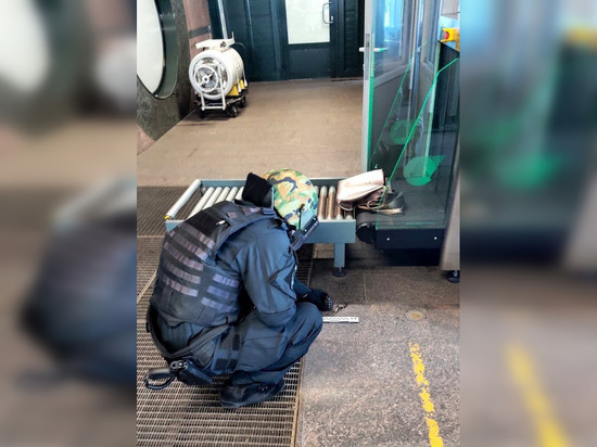 Пассажир пронес на Ладожский вокзал муляж гранаты