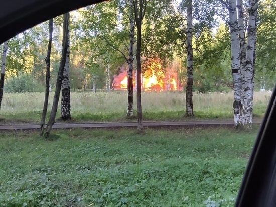 В микрорайоне Кирова сгорели сараи, в которых погибли три собаки