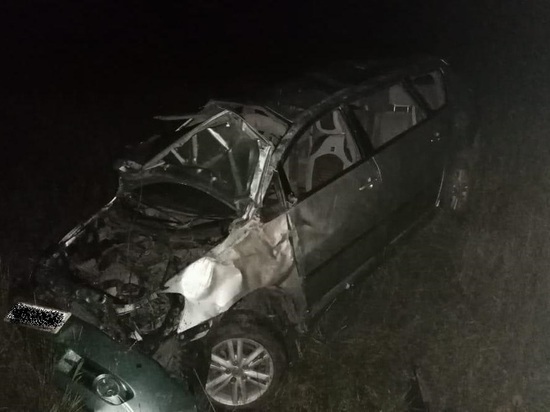 Водитель Toyota Ipsum погиб в перевернувшемся автомобиле на трассе в Забайкалье