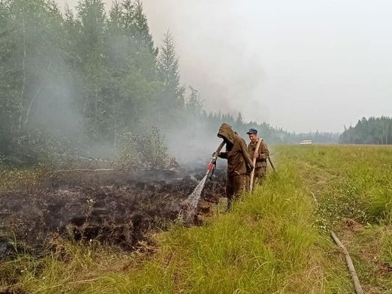 За сутки в Якутии ликвидирован один лесной пожар
