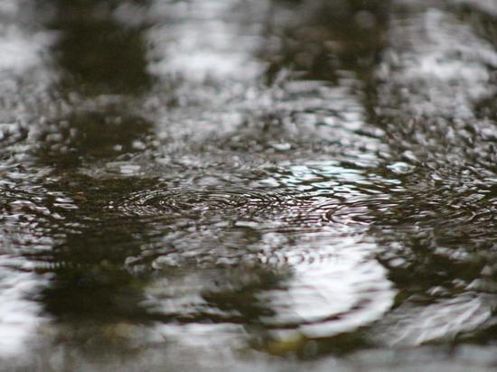 Мощные дожди обрушатся на четыре района Сахалинской области