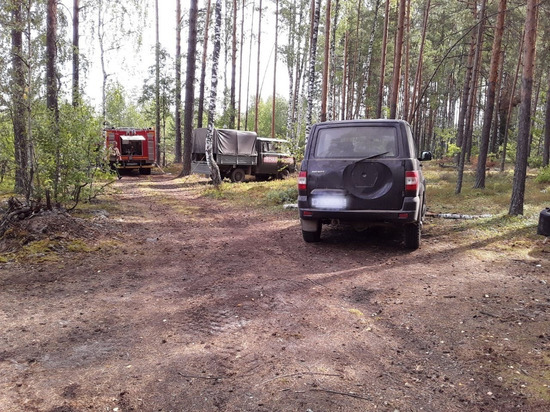 В лесах под Петушками вспыхнул пожар