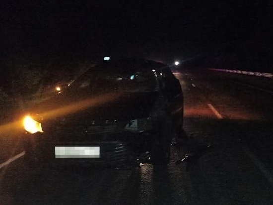 В Тверской области на трассе Р-132 машина сбила лося, водитель получил травмы