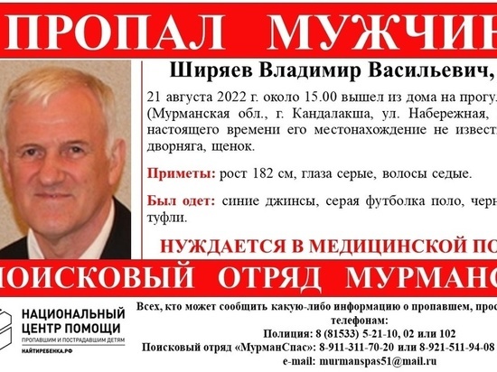 Пожилой житель Кандалакши вышел выгулять собаку и пропал
