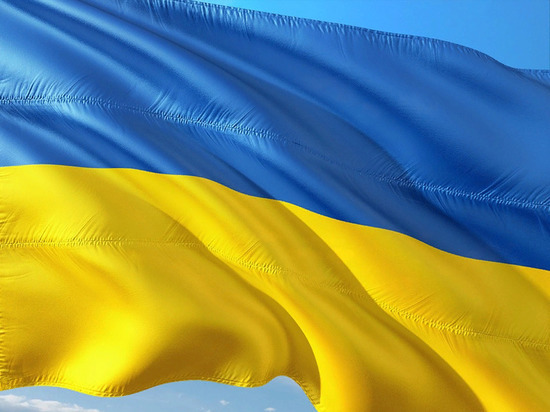 Мужчина в Эстонии получил срок за топтание украинского флага