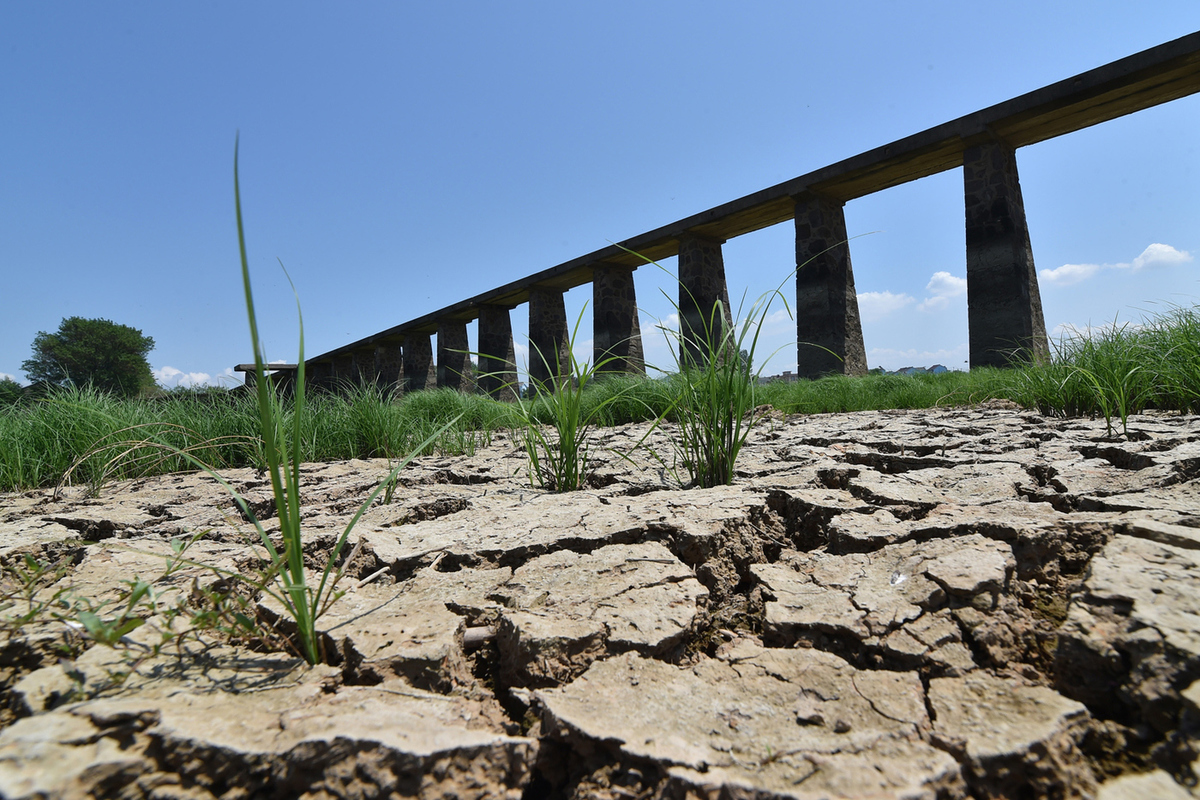 Засуха поразила Китай: великая река Янцзы пересохла - МК