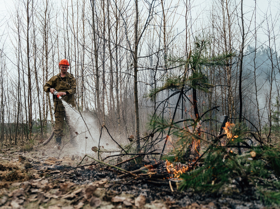 Ещё один лесной пожар произошёл в Тверской области