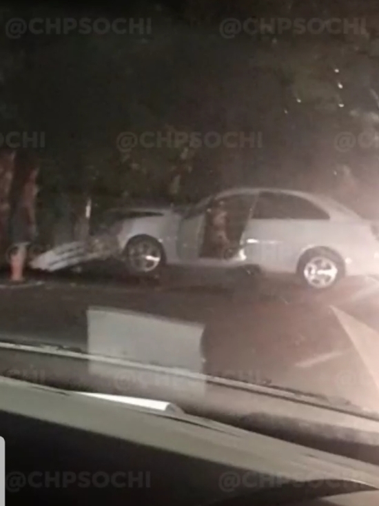 В Хостинском районе Сочи иномарка врезалась в дерево