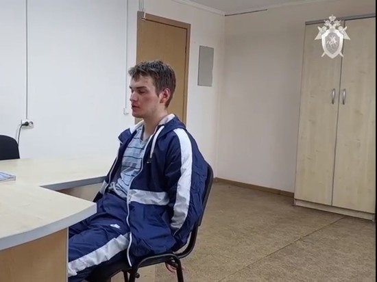 Видео с допросом 23-летнего студента-насильника опубликовали красноярские следователи