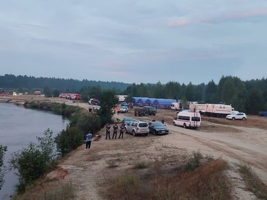 Тверские спасатели помогают тушить сильный лесной пожар в Рязанской области