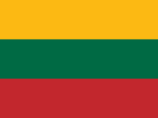 Жителю Литвы ограничили свободу за призывы расправляться с русскими