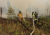 В Рязанской области из-за лесных пожаров в зоне высокой опасности по-прежнему находятся два населенных пункта — Ольгино и Голованово
