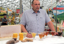 12 августа в парке «Коломенское» открылась ярмарка меда – она собрала пчеловодов со всей страны
