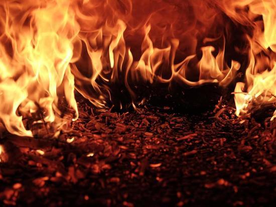 В Шолохово 18 человек тушили пожар на лугах