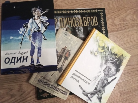 Почти три тысячи книг собрали вологжане для детей ЛНР