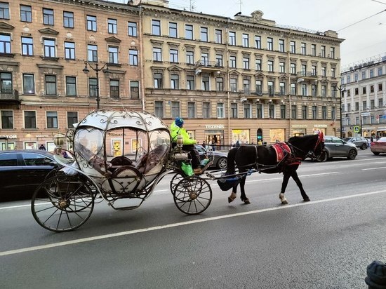 Петербуржцы захотели избавиться от лошадей и карет в центре города после инцидента у Исаакиевского