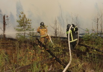 Власти Рязанской области объявили о введении в регионе режима ЧС из-за природных пожаров