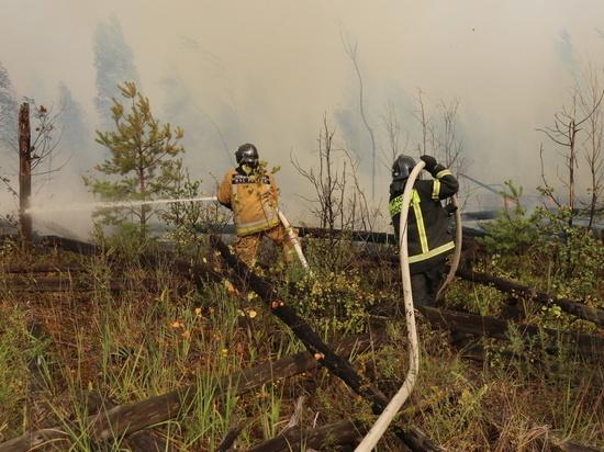Рязанская область ввела режим ЧС из-за лесных пожаров