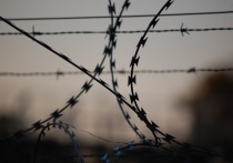 Пограничные войска Узбекистана сообщили о задержании 24 граждан Афганистана, которые оказали сопротивление при нелегальном пересечении границы