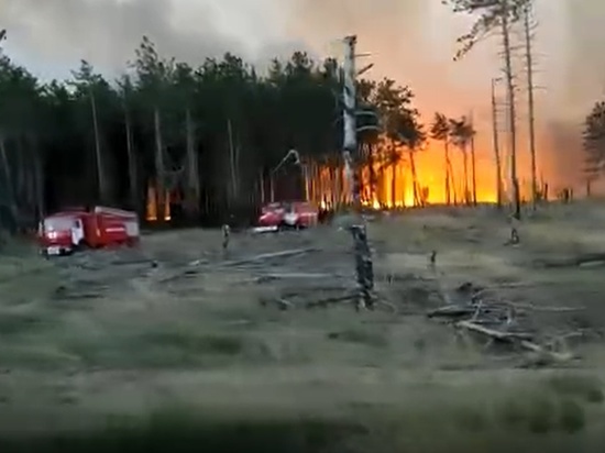 Пожар в Каменском районе охватил 40 гектаров леса