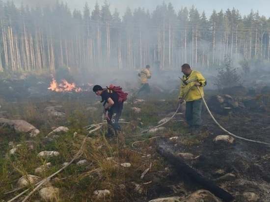 Сотрудники Карельского центра авиалесоохраны справились с 11 лесными пожарами