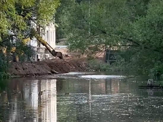 Ярославцы пожаловались в соцсетях, что в Брагино закапывают пруд с утками