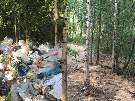 Волонтеры собрали на карьере во Всеволожске больше 100 мешков мусора