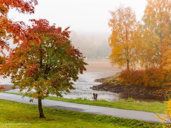 Осенью один из парков Петрозаводска изменится в лучшую сторону