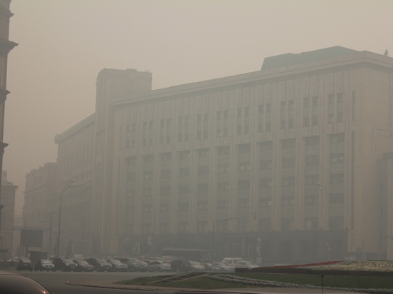 Московским смогом займутся в правительстве