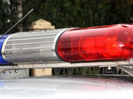 Сорокалетний вологжанин ограбил 93-летнюю женщину возле ее дома