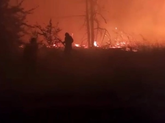 Пожар в Каменском районе удалось потушить спустя сутки