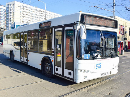 В Краснодаре проходит профмероприятие ГИБДД «Автобус»
