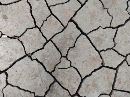 Эксперты допустили, что засуха в Европе станет самой сильной за 500 лет