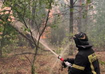 Врио губернатора Рязанской области Павел Малков заявил, что в рамках тушения природных пожаров "практически остановлено" распространение огня на юг и на запад региона