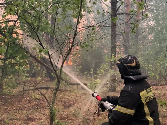 В Рязани заявили об остановке распространения пожаров на юг и запад области