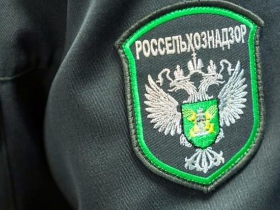 В 2022 году омское управление Россельхознадзора выявило 98 нарушений в поставках продуктов в больницы и детсады
