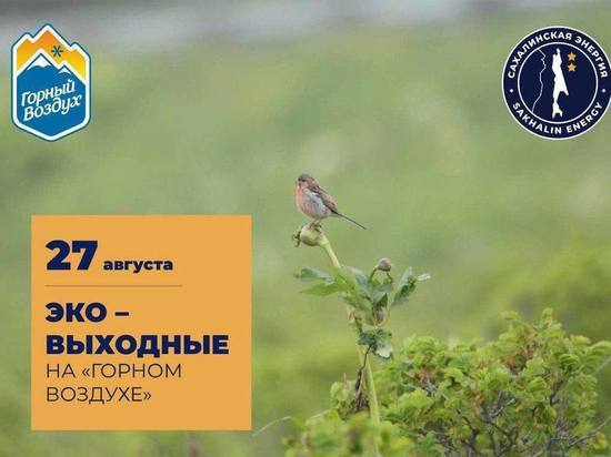 Экскурсия с орнитологом и роспись камней: эко-выходные проведут в Южно-Сахалинске