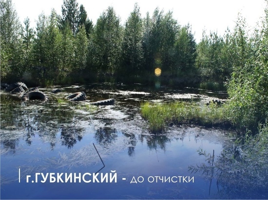 Больше 900 жителей ЯНАО в июле расчистили берега 20 водоемов