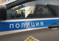 Московские следователи возбудили уголовное дело по факту изнасилования 10-летней школьницы
