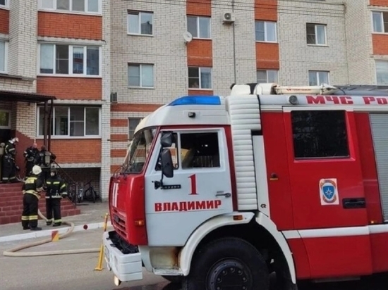 Во Владимире горела многоэтажка на улице Мира
