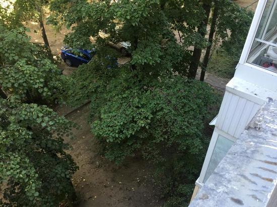В Левобережном районе Воронежа труп мужчины лежал на улице два часа