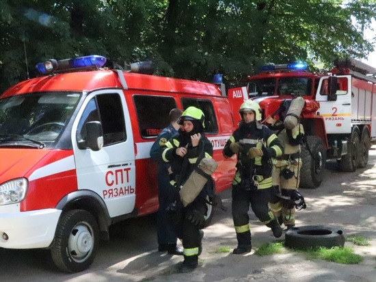 Глава рязанского МЧС заявил о нехватке гусеничной техники для тушения пожаров