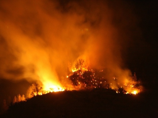 Минприроды РФ: причиной части пожаров в ЦФО стали поджоги