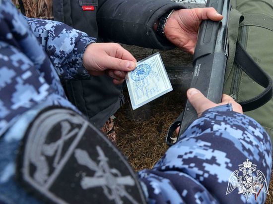 Тамбовские росгвардейцы за три дня изъяли 27 единиц огнестрельного оружия
